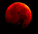The Seasonal Almanac: Nature and Astronomical Events for June and July 2000